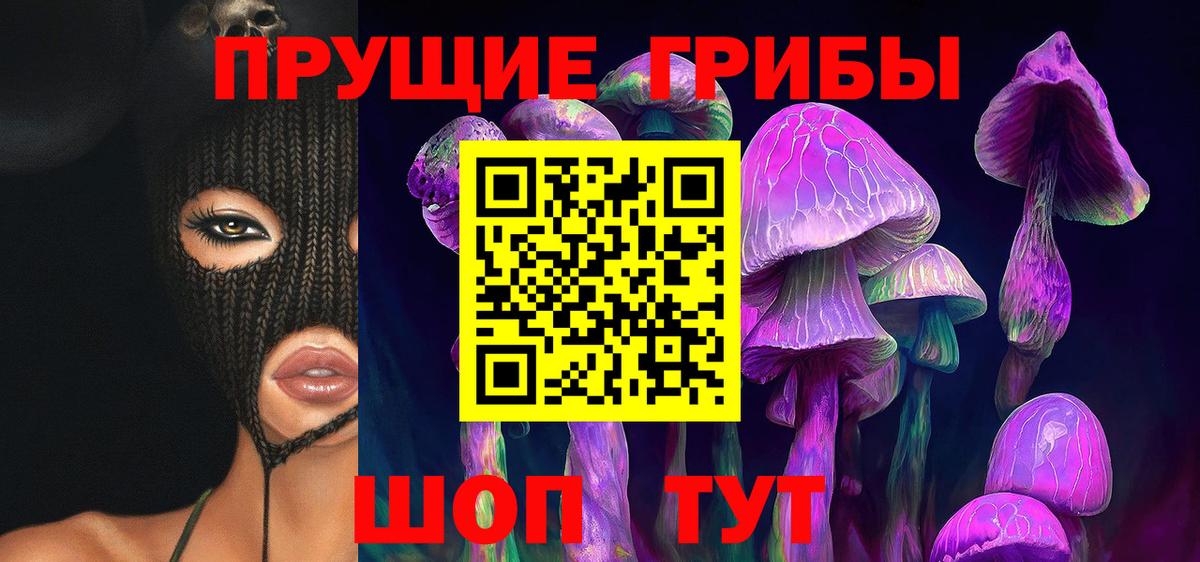 Галлюциногенные грибы прущие грибы  Псилоцибиновые грибы мицелий  Люберцы  Вход с VPN 